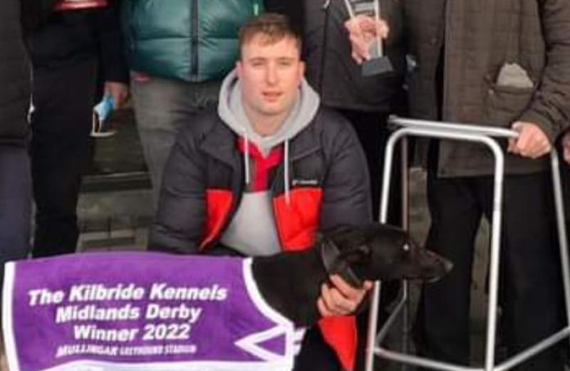 Gone to the dogs: Eight Offaly winners last week