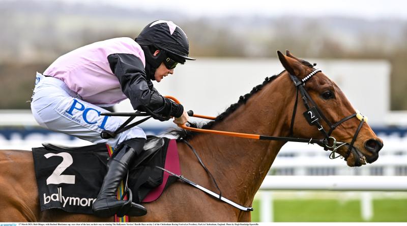CHELTENHAM FESTIVAL 2022 DAY 3 TIPS - The horses worth a bet on Thursday 