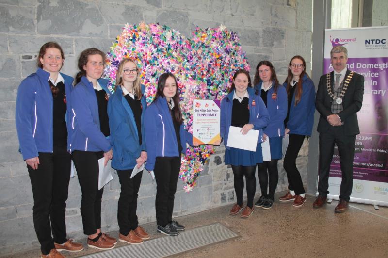 One Million Stars to End Violence Project display in Nenagh