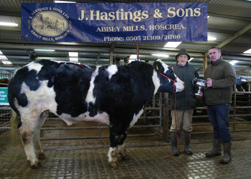 Central Auctions Show & Sale of Bulls & Bullocks in Roscrea Mart