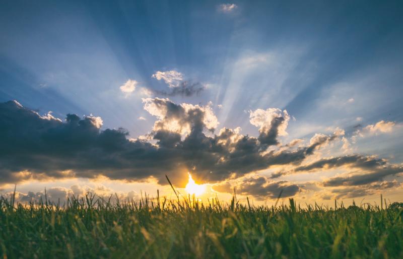 WEATHER FORECAST: How long is the good weather set to last in Ireland