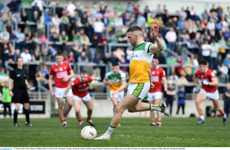 Devastated Offaly go down with their boots on