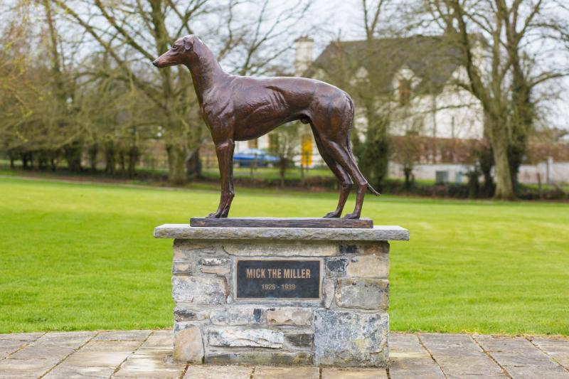 Warm tributes paid in Laois to late Offaly greyhound breeder