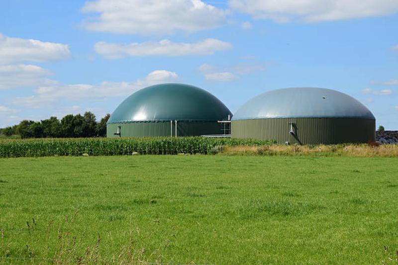 Grafton Group seek judicial review following permission for biogas facility in Offaly