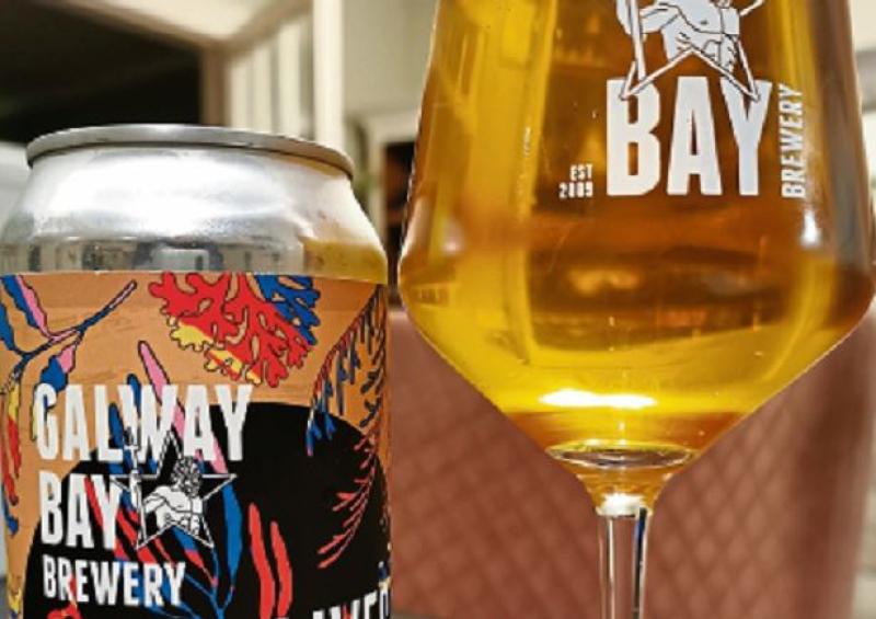 Galway Bay Brewing Slow Lives