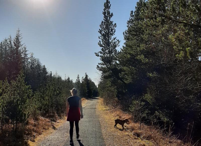 New 10km track among Offaly bog projects given funding boost