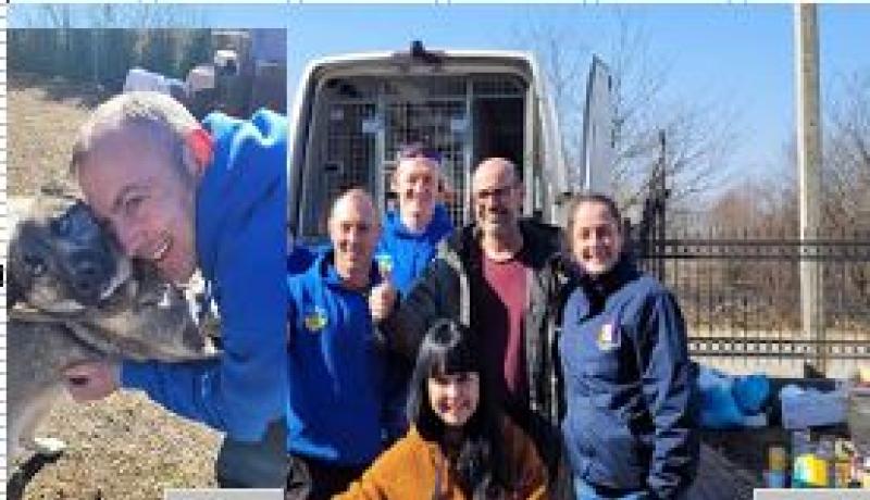 Ferbane man helps rescue over 50 dogs in Ukraine