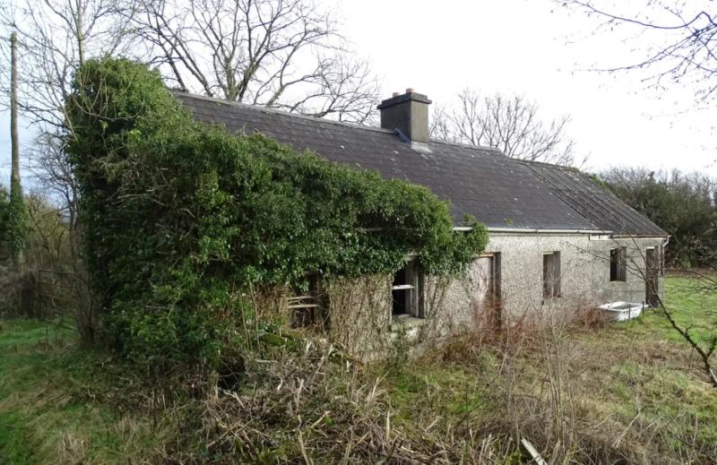 PROPERTY WATCH Derelict cottage in Midlands described as 'builders