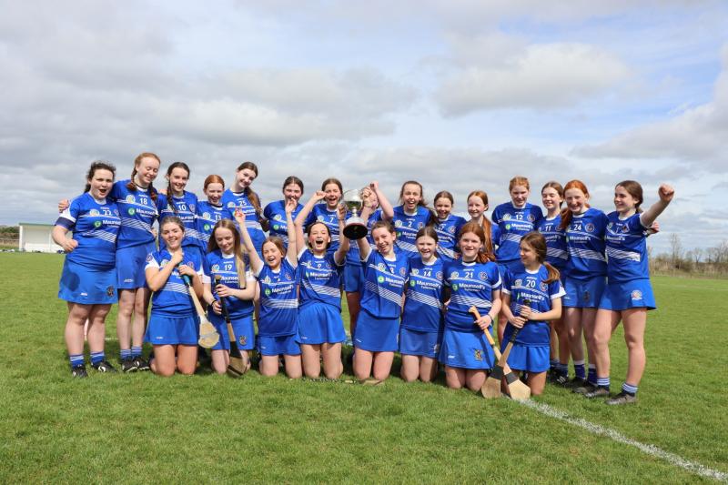 Offaly camogie Feile finals