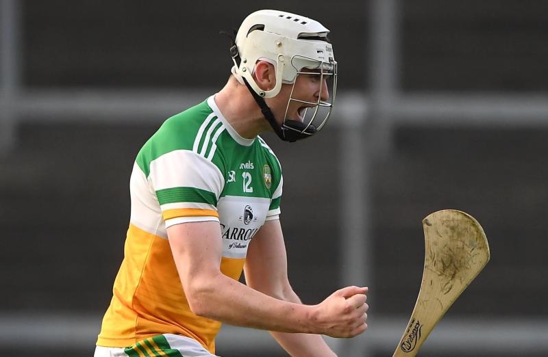 Routine win for Kilkenny as Offaly's best well short of the mark