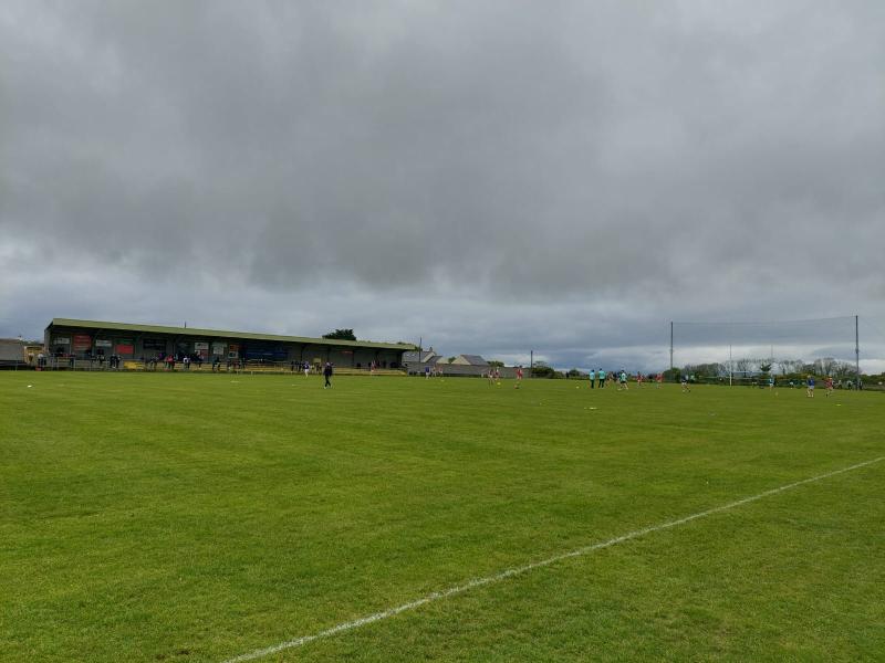 The man behind the wire: Down's unique hurling charm