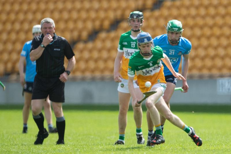 THE MAN BEHIND THE WIRE: Green shoots for Offaly hurling