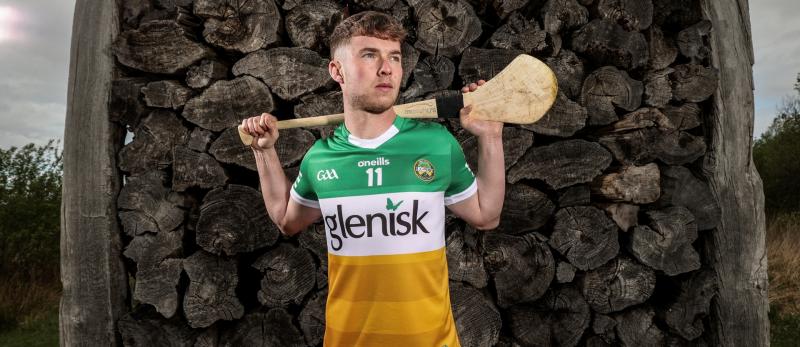 Offaly hurling star delighted to be making most of forward opportunity