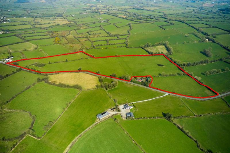 ‘Great confidence among buyers’ as Longford farm sells for almost €0.5 million in online auction