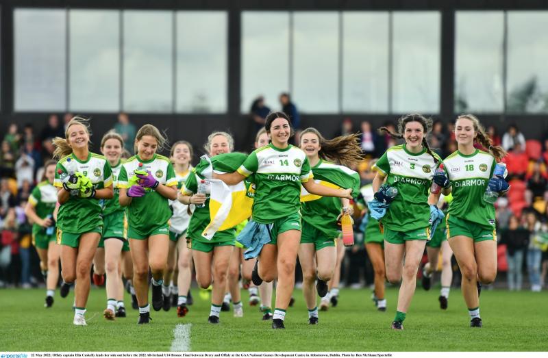 Gallant Offaly go down with flag flying high