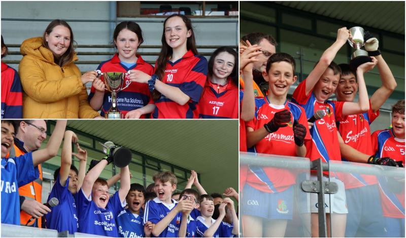 PICTURE SPECIAL: Success for schools across Offaly at Cumann na mBunscol Finals