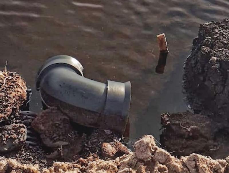 Restoration of bog in Offaly slammed by environmental group 