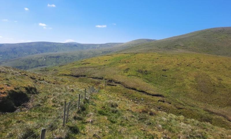 OPINION (AN COLÚN): Silage, slurry and a Saint's relics while driving north