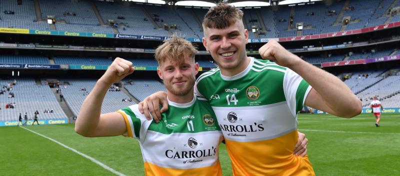 The Man Behind the Wire: How the Offaly hurlers performed during a disappointing season