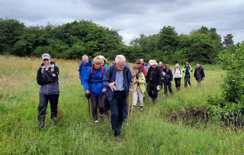 Learning about the life of a South Offaly river