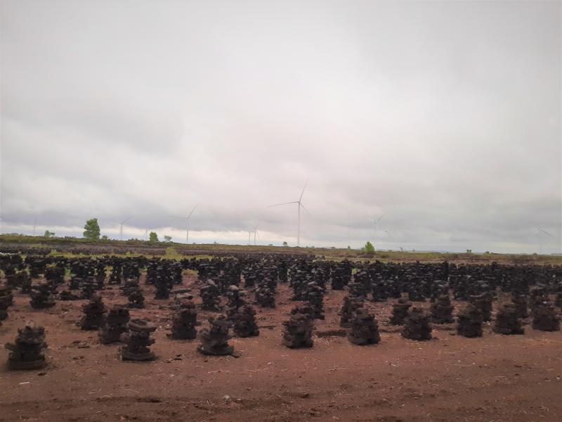 Turf stacked for drying in Offaly