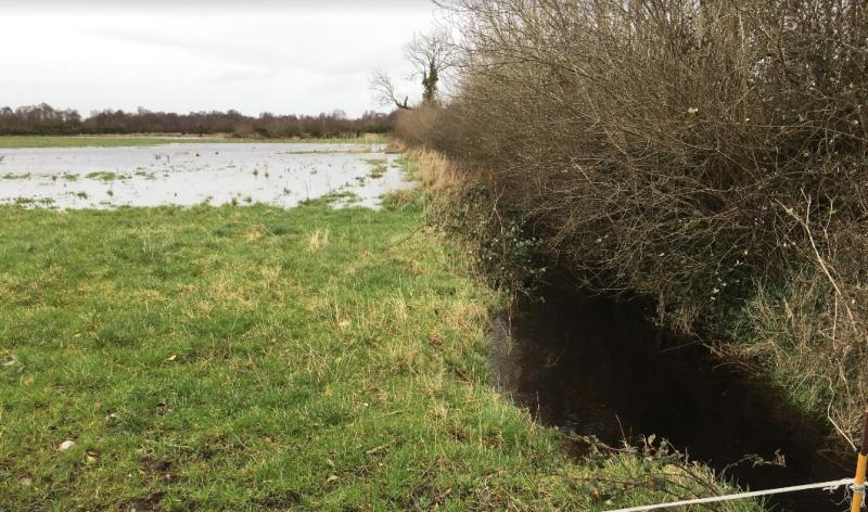 Local residents initiate High Court proceedings against proposed Banagher abattoir
