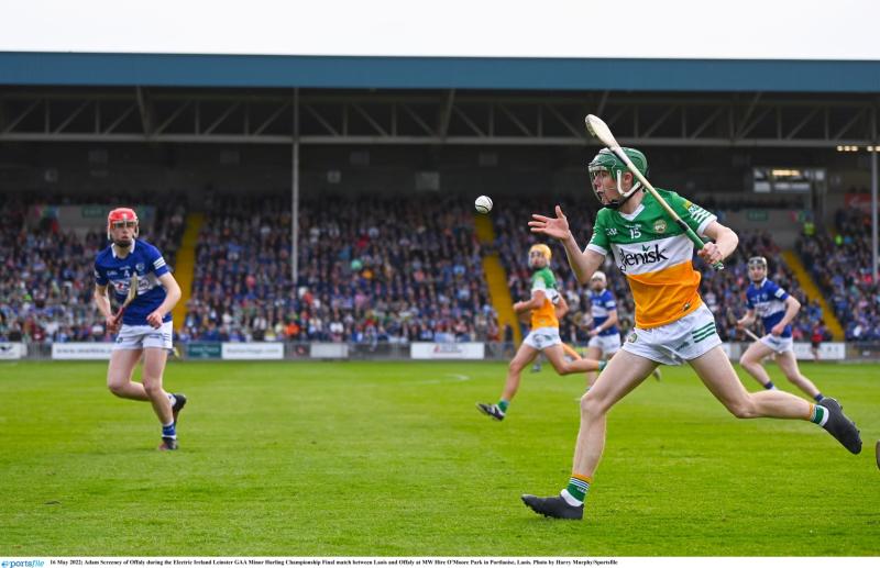 Top award for Screeney as four Offaly players make national minor hurling team of the year