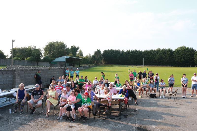 Clara GAA Club have not reached agreement to sell Pairc Brid