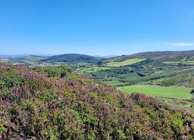 OPINION (AN COLÚN): In touch with beauty in the Lough Derg hills