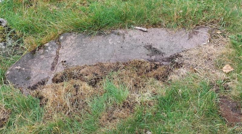 Experts reveal their findings after Seir Kieran surveys