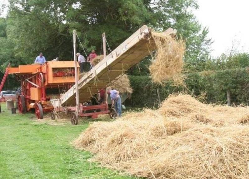 Community Threshing Festival returns to The Black Bull on Sunday
