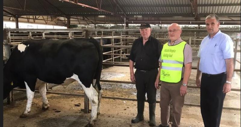 BIRR MART