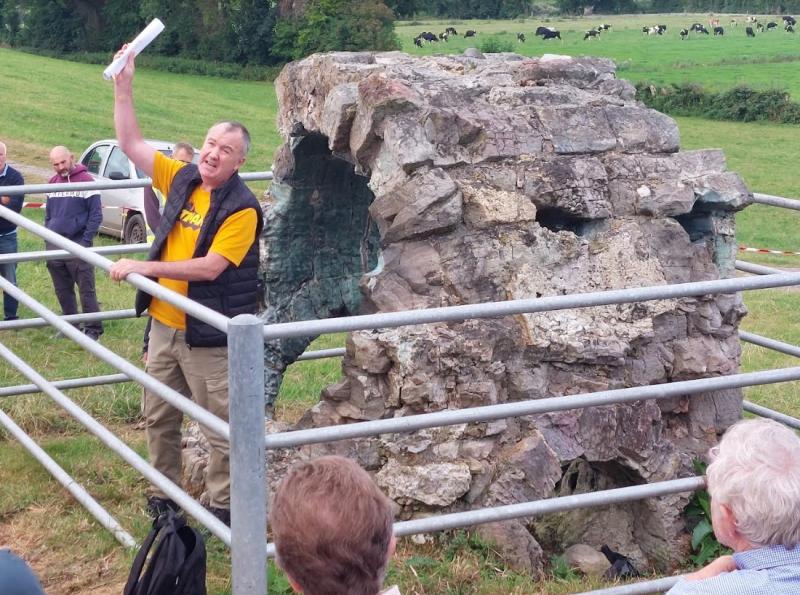 Former Offaly glasshouse is a unique treasure