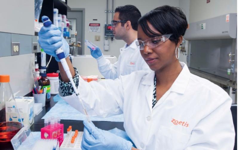 JOBS ALERT: Succeed at Zoetis – For animals, for health, for you 