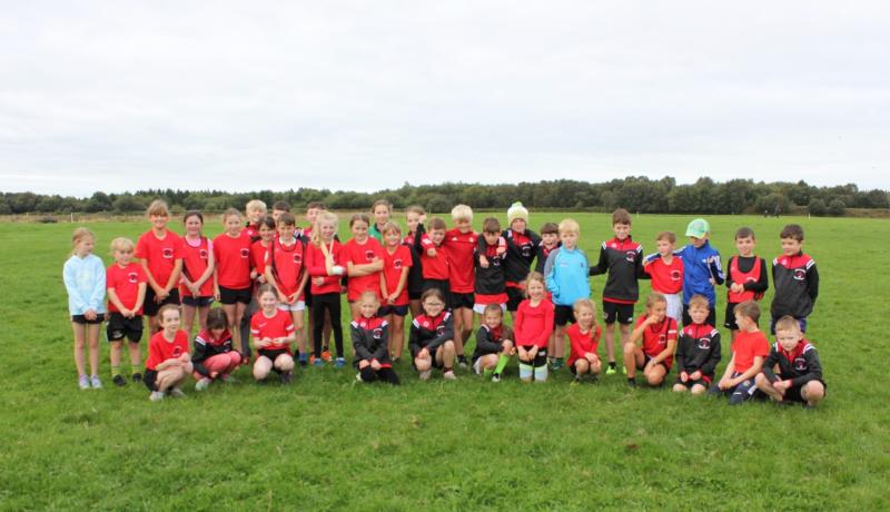 Offaly Intermediate Cross Country Championships