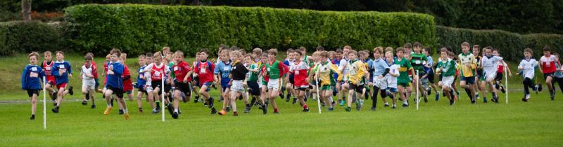Offaly Primary School Cross Country Championships