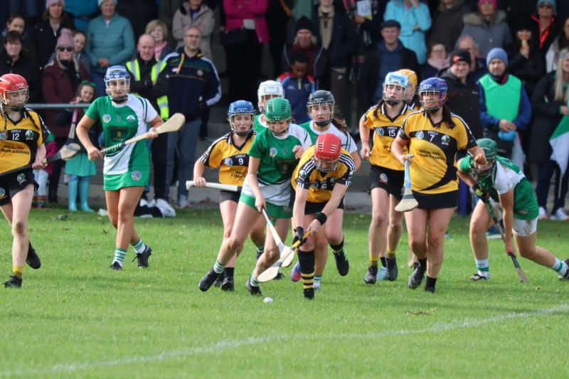 St Sinchill's edge outy Kinnitty in tight final