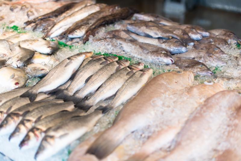 WATCH: Fish shop serving Offaly customers forced to closed due to rising energy costs