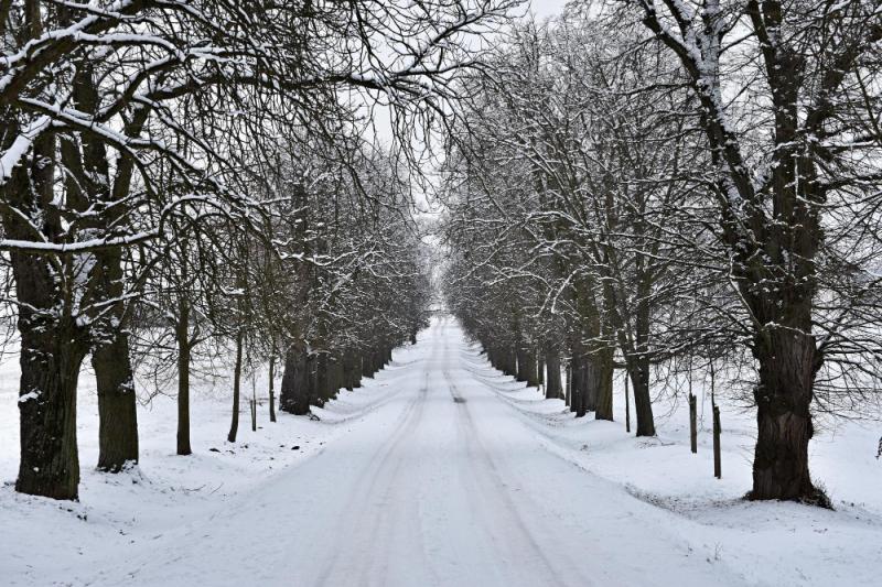 Ireland Weather: Met Eireann forecast snow and freezing temperatures this week with Arctic airmass set to hit Ireland