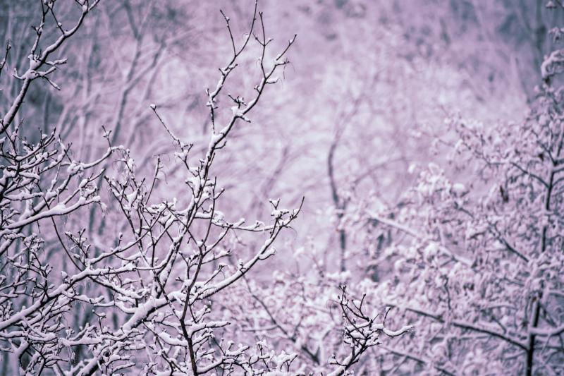 What is the latest Met Eireann weather forecast for Christmas?