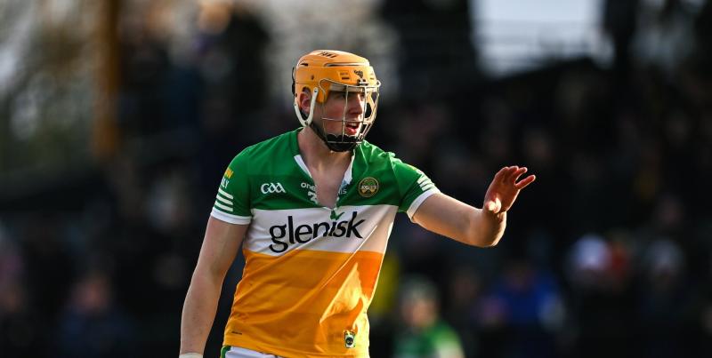Encouraging defeat gives Offaly an early season platform to build on