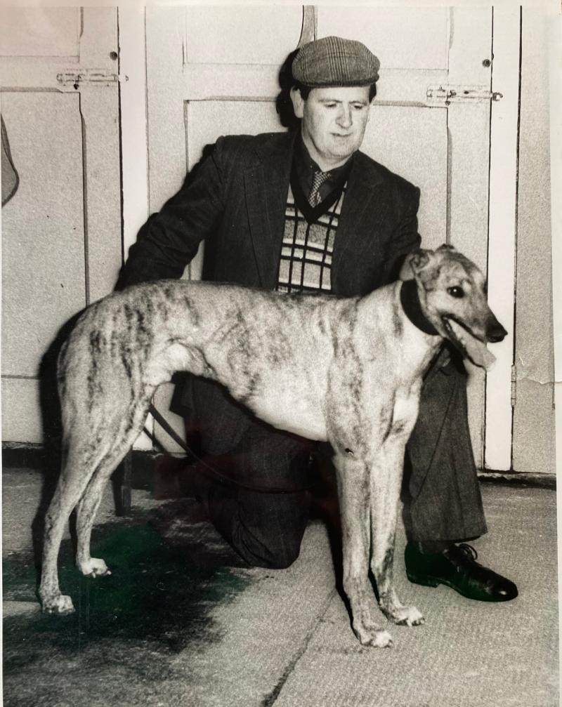 “One of the legends and true gentlemen of Irish greyhound sport” remembered