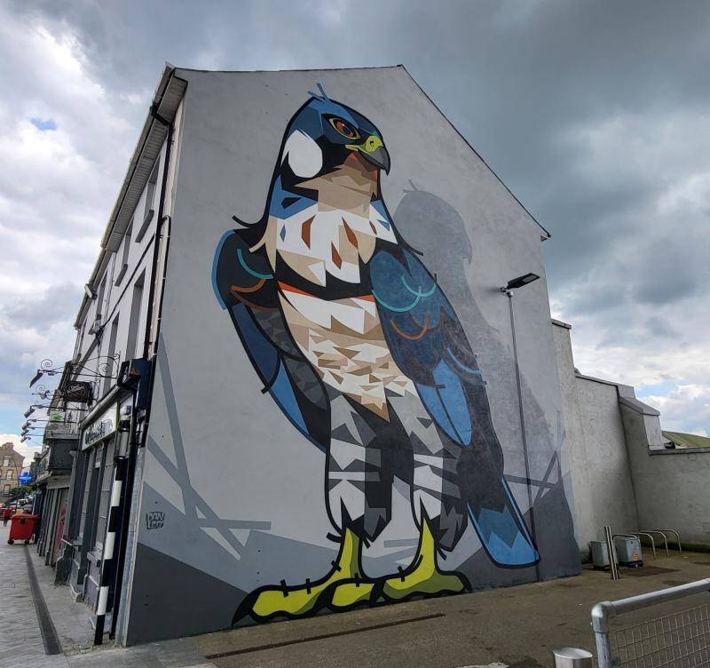 Roscrea will benefit from Council's mural scheme