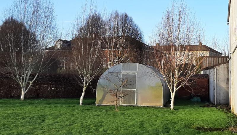 Polytunnel