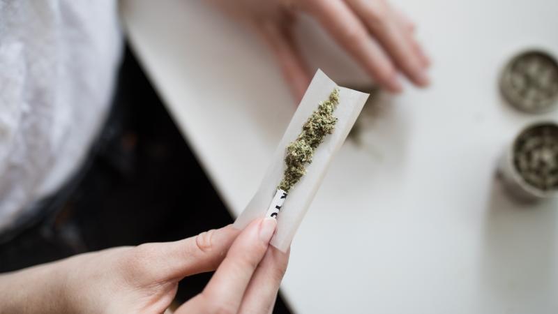 REVEALED: More than 20 people hospitalised every week for mental disorders due to cannabis use