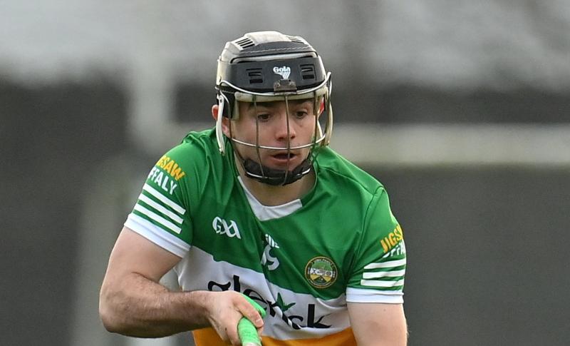 Promotion in sight as Offaly hurlers aim for revenge against Carlow
