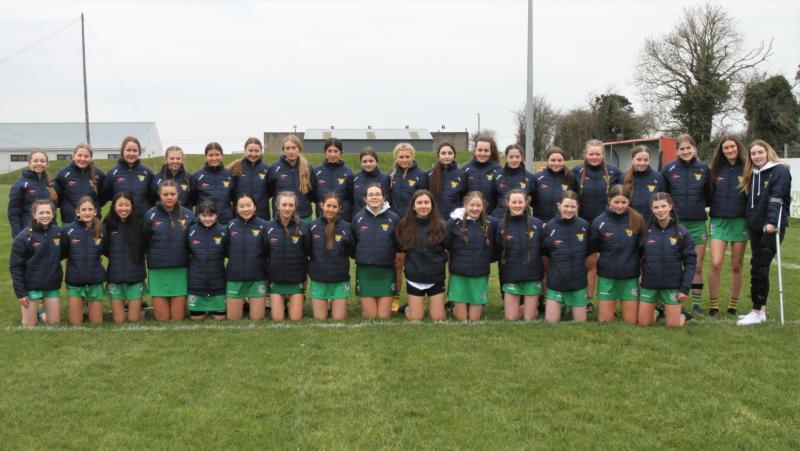 The man behind the wire: Schools' performances augur well for future of Offaly GAA