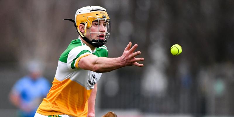 Final berth in sight as Offaly see off wasteful Carlow