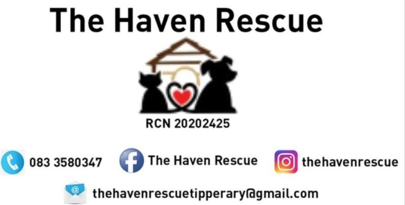 HAVEN
