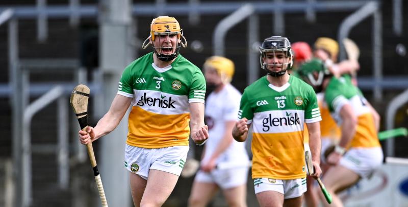 Captain happy with position Offaly are in but knows there are tougher battles ahead